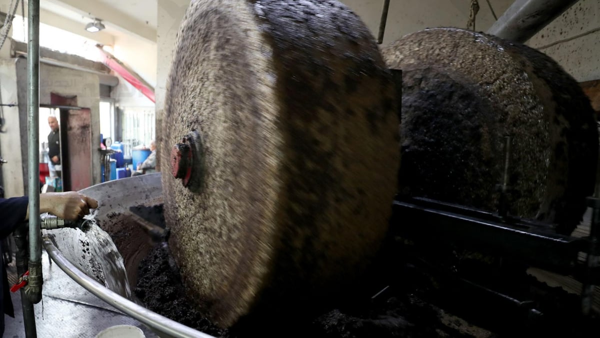 El ministro de Industria emite una decisión que regula la eliminación de residuos de las almazaras de aceite de oliva