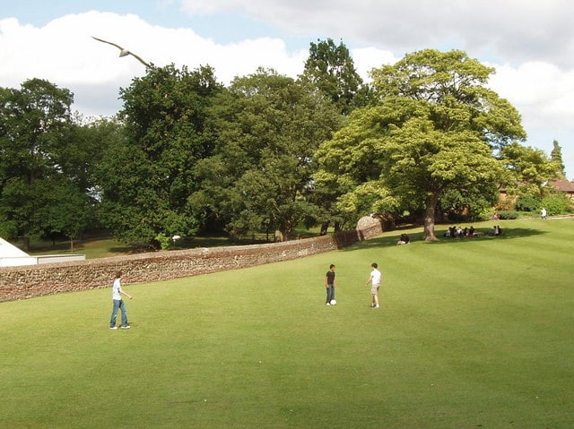 Police Probe Unexplained Death of 11-Year-Old in Village Park