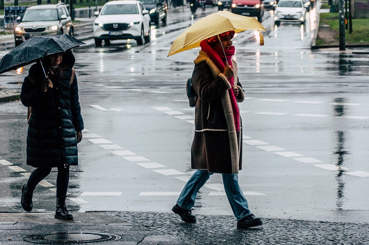 woman, rain, city, nature, people, umbrella