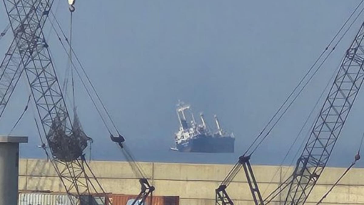 Échouement d'un cargo chargé de bois près du port de Saïda