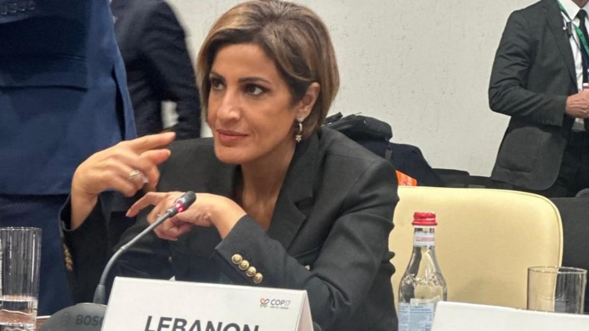 Lebanese Environment Minister Calls for International Environmental Emergency Fund to Support Lebanon's Recovery