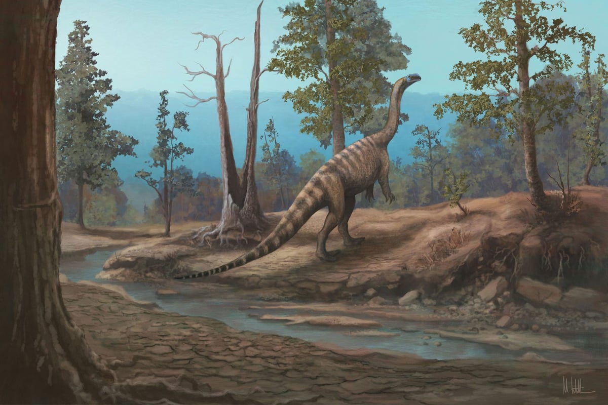 Musango matusadonaensis reveals distinct Zimbabwean dinosaur lineage