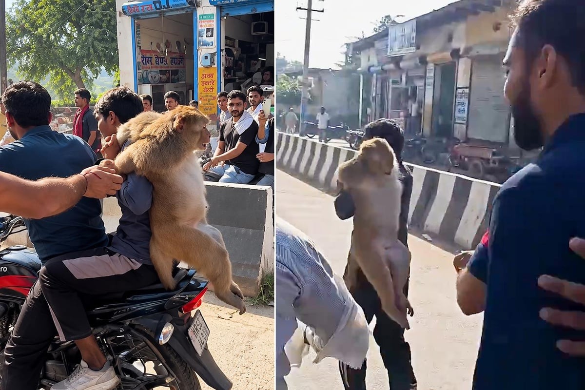 Group beats monkey with sticks in India