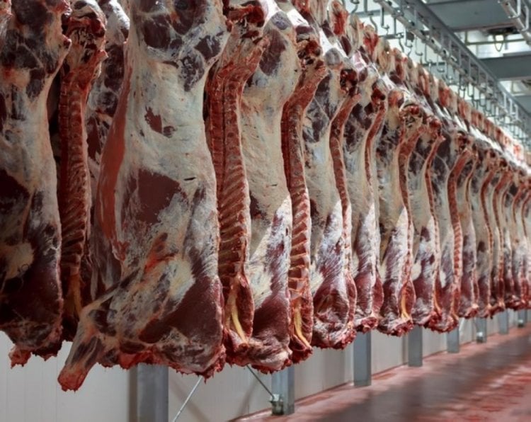 بلدية بريتال حددت سعر كيلو لحم البقر المدعوم خلال رمضان بـ 39 ألفا