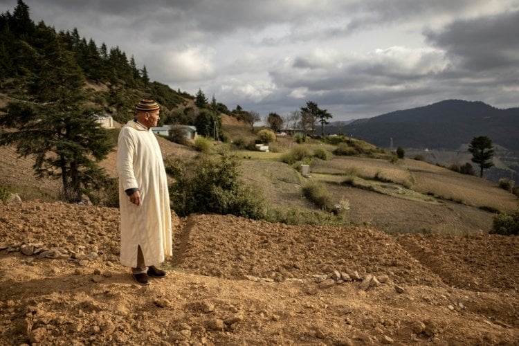 مزارعو القنب بالمغرب يأملون ببيع موسمهم دون خوف بعد مشروع لتشريع إنتاجه
