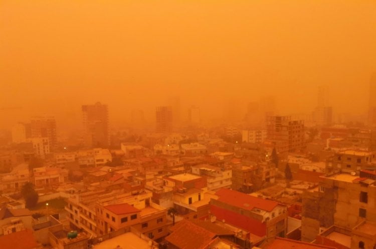 ارتفاع عدد قتلى الحرائق في الجزائر ورجال الإطفاء يكافحون آخر البؤر المشتعلة