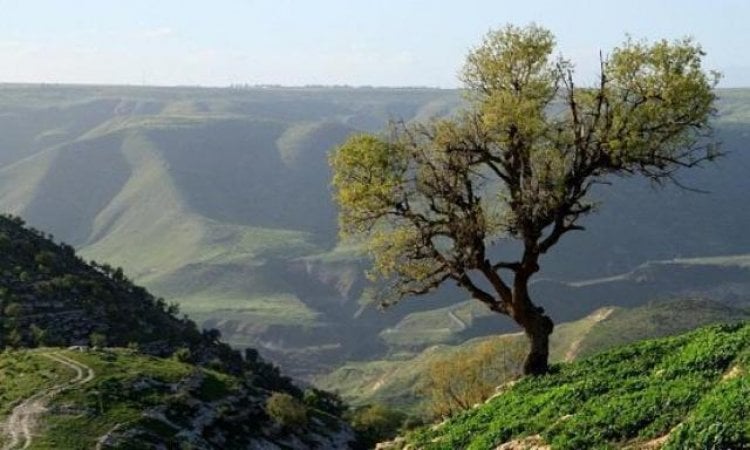 كيف سيكون طقس الأيام المقبلة؟