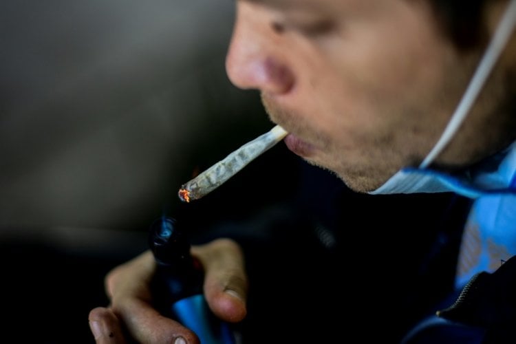 المحكمة العليا المكسيكية تلغي تجريم تناول الماريجوانا
