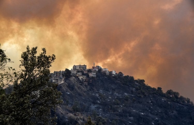 غالبية الحرائق تحت السيطرة في الجزائر والسكان في حالة صدمة