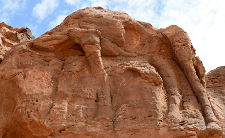 منحوتات الجمال الصخرية في الصحراء السعودية تعود لأكثر من 7 آلاف سنة