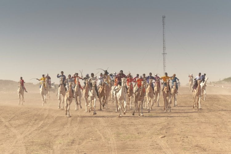 تَنافُس على "مجد الصحراء" في سباق إنغال للجِمال في النيجر