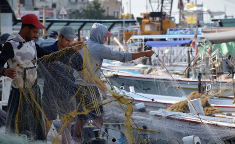 صيّادو الأسماك معاناة صامتة: "ارتفاع سعر المازوت وبالدولار... حرق أرزاقنا"