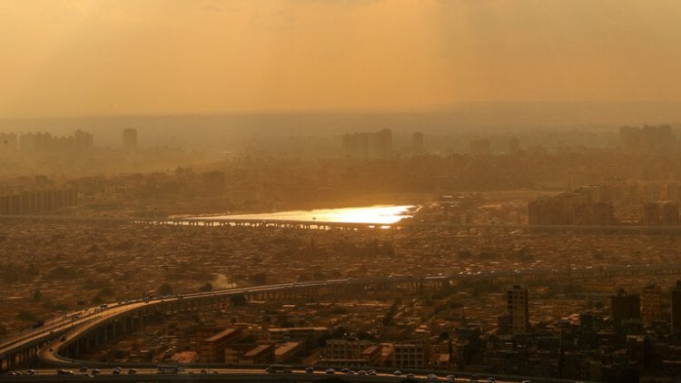 حيوان "غريب" يثير الذعر في مصر (صور)