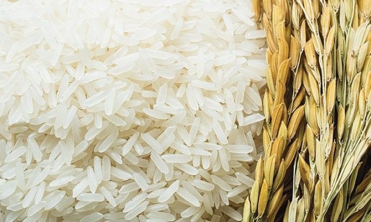 أهم طبق على السفرة العراقية في خطر ! كارثة تطرق الأبواب