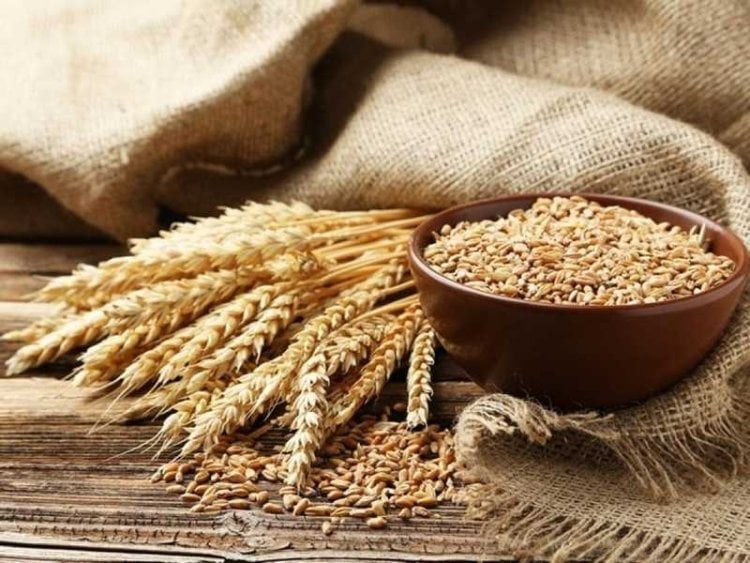 خطّ سكك حديد من الحقبة السوفياتية.. هل يحلّ أزمة الغذاء العالميّة؟